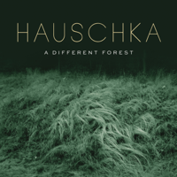 Hauschka - A Different Forest artwork