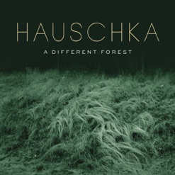 A DIFFERENT FOREST cover art