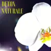 Detox Naturale - Musiche Giapponesi per Sottofondo Musicale, Pace e Benessere Interiore album lyrics, reviews, download