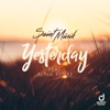 Yesterday (feat. Alina Renae) [Remixes] - Single