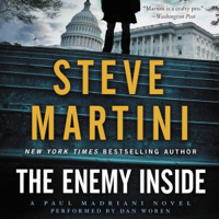 Steve Martini - The Enemy Inside artwork