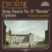 String Quartet No. 10 in E-Flat Major, Op. 51, B. 92 "Slavonic": II. Elegia. Andante con moto artwork