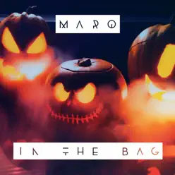 In the Bag - Single - Marq In the Bag - Single - Marq