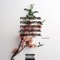 Arizonas & Backwoods (feat. Devin Mccoy) - Dashcito lyrics