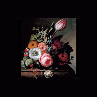 SUGAR SOUL - Testi, playlist e video | Shazam