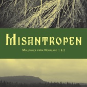 Misantropen - Moll 1