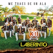 Grupo Laberinto - Por Alguien