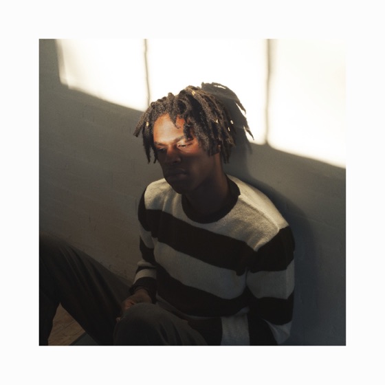 Cover artwork for Japanese Denim