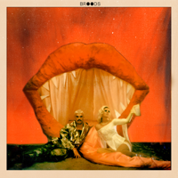 Broods - Don't Feed the Pop Monster artwork