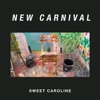 Sweet Caroline - Single