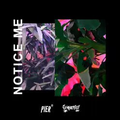 Notice Me (feat. Itzwonderfull) - Single - Pier