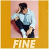 Fine - Single