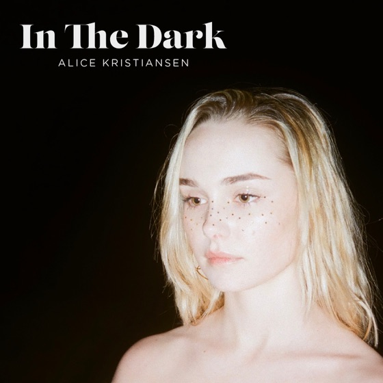 Cover artwork for In the Dark
