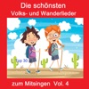 Top 30: Die schönsten Volks- & Wanderlieder zum Mitsingen, Vol. 4