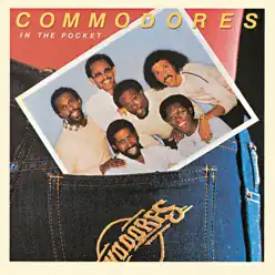 In the Pocket - The Commodores