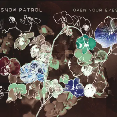 Open Your Eyes (Live in Berlin) - Single - Snow Patrol