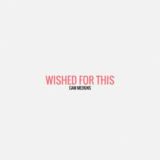 Cover artwork for Wished for This