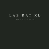 Lab Rat 1 artwork