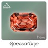 Spessartine 1st Gem - EP