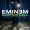 Eminem & DMX - The Real Slim Shady