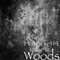 Woods (feat. 10kTaedoe) - HotBoy414 lyrics