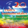 20 Éxitos Instrumentales de los 70's