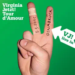 Tour d'Amour - Live in Osnabrück, 03.03.05 - Virginia Jetzt!