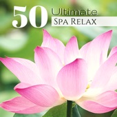 50 Ultimate Spa Relax - Zen Lotus Garden Meditation Music Collection artwork