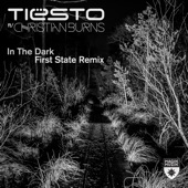 In the Dark (feat. Christian Burns) [First State Extended Remix] artwork