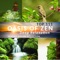 Garden of Zen Music - Relaxing Nature Sounds Collection lyrics