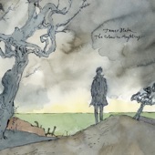 James Blake - I Need a Forest Fire (feat. Bon Iver)