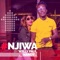 Njiwa (feat. Nandy) artwork