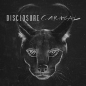 Caracal (Deluxe) artwork