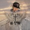 Trump Card - The Endurer lyrics