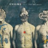 Enigma - T.N.T. for the Brain