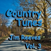 Country Tunes, Vol. 3 artwork