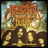 Now Dig This! - The Best of Electric Boys artwork