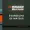 Mateus 19 - Bíblia Falada lyrics