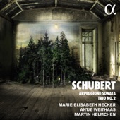 Schubert: Arpeggione Sonata & Trio No. 2 artwork