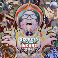 Various Artists - Secrets of the Insane, Vol. 2 artwork