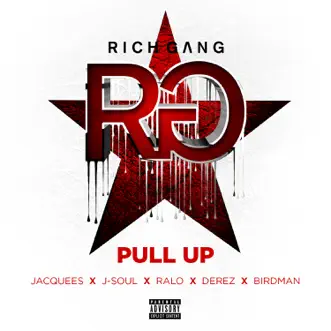 Pull Up (feat. Jacquees, JSOUL, Ralo Stylz, Derez Lenard & Birdman) by Rich Gang song reviws