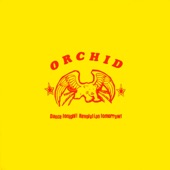 Orchid - I Am Nietzche