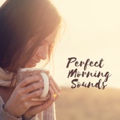 Perfect Morning Sounds: Calm and Soft Wake Up Music artwork