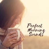 Perfect Morning Sound artwork