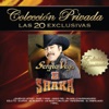 Sergio Vega “El Shaka” - Tu Enamorado