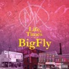 Life & Times of BigFly - EP