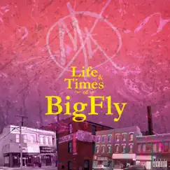 Life & Times of BigFly - EP by Big Kahuna OG & Fly Anakin album reviews, ratings, credits