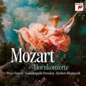 Horn Concerto No. 1 in D Major, K. 412/K. 386b: II. Rondo. Allegro artwork