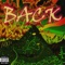 Back - Z.E.E.K. lyrics
