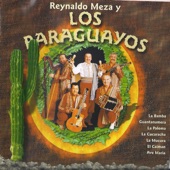 Reynaldo Meza y los Paraguayos artwork